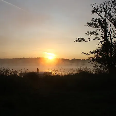 Jungferweiher Ulmen