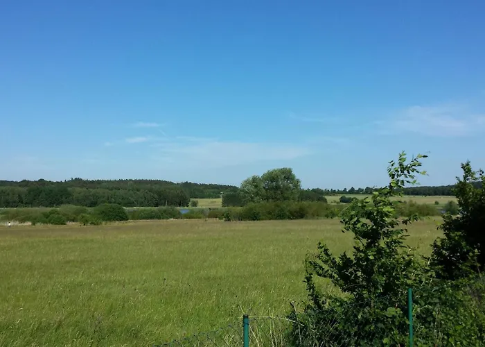 キャンプ場 Jungferweiher *