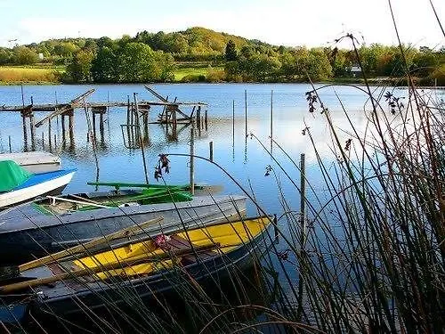 キャンプ場 Jungferweiher *