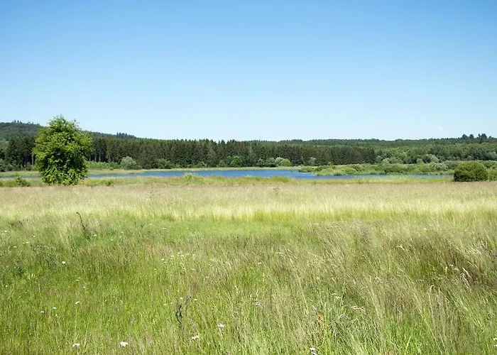 キャンプ場 Jungferweiher ウルメン